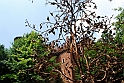 Borgo e Rocca Medioevale_159